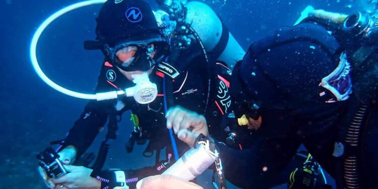 Southern Leyte’s Sogod Bay aims to become Eastern Visayas’ premier diving capital