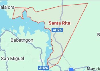 NPA Firearm and Magazines Unearthed in Samar