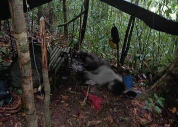 Army Reports Clash with NPA in Eastern Samar, One Killed