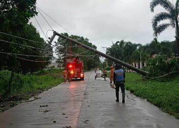7 rescued in Guiuan as PRO-8 leads clearing, relief ops after Typhoon Opong
