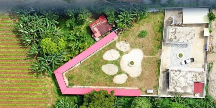 Ormoc’s modern dog pound offers hope for stray dogs