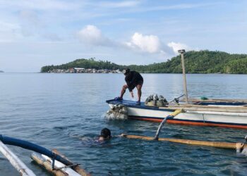 Catbalogan City advances artificial reef and coral rehab efforts
