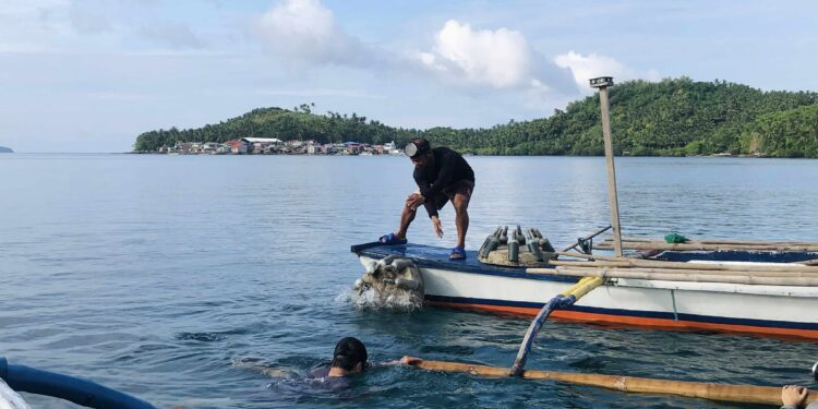 Catbalogan City advances artificial reef and coral rehab efforts