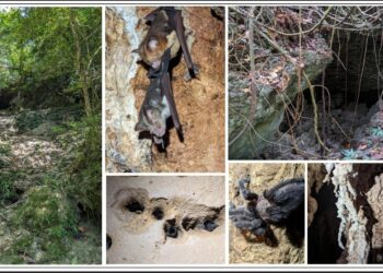 Catbalogan’s cave mapping push highlights eco-tourism potential amid tourism month celebration