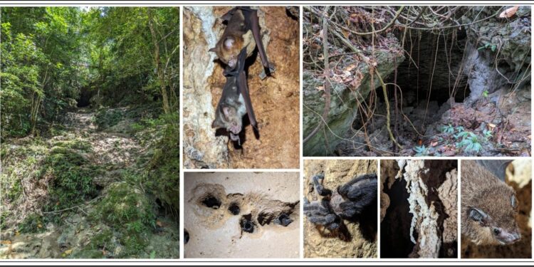 Catbalogan’s cave mapping push highlights eco-tourism potential amid tourism month celebration