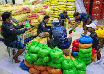 Typhoon Opong disrupts lives of over 54K people in Eastern Samar