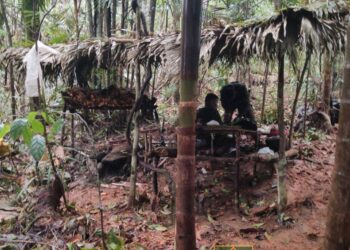 Army dismantles NPA encampment in Eastern Samar, recovers firearms in clash