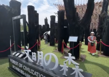 FOREST OF CIVILIZATIONS PROJECT: Mondejar Gallery and partners’ exhibition of ancient trees at Expo 2025 Osaka