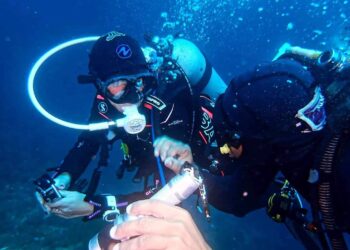 Southern Leyte’s Sogod Bay aims to become Eastern Visayas’ premier diving capital