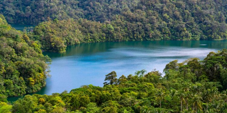 Negros Biodiversity a Focus for World Wildlife Day on 3 March