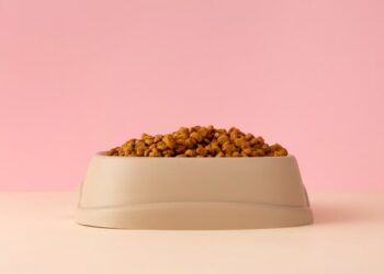 Impressive Growth of Cat Food Sales in Indonesia’s E-commerce