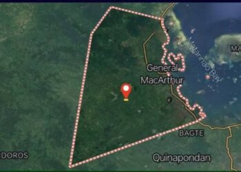 Wife of Slain NPA Rebel Leader Surrenders in Eastern Samar