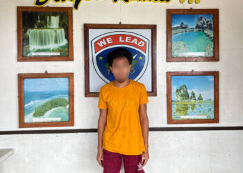 Insurgency in Eastern Visayas Declines, Reports Army’s 8ID