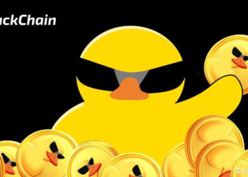 Get to Know About DuckChain: Roadmap 2025, Tokenomics, Event, Rewards,& Airdrop