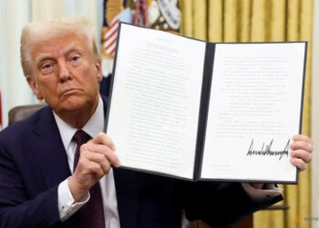 Midori Climate Partner Closes Pre-Seed Round, Led by Tokio Marine Holdings, to Expand Biochar Projects Across Asia