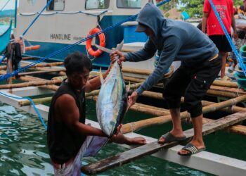Gonzales, Libanan push for modern fishports in Eastern Samar