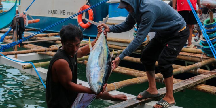 Gonzales, Libanan push for modern fishports in Eastern Samar