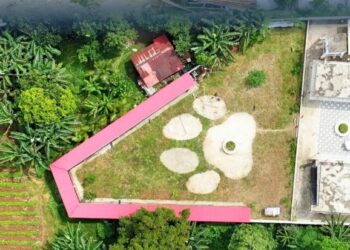 Ormoc’s modern dog pound offers hope for stray dogs