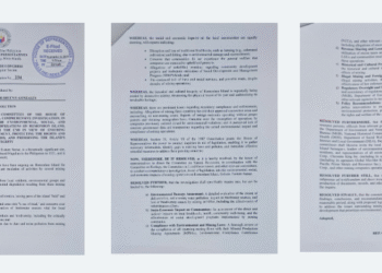 House urged to probe mining threats to historic Homonhon Island