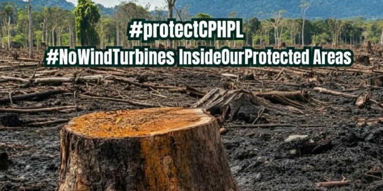 R8 Media Citizen Council Joins Public Outcry Against Wind Project in Calbayog’s Protected Forests